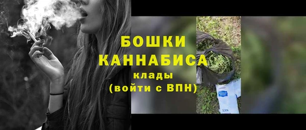 первитин Богданович