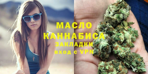дживик Богородицк