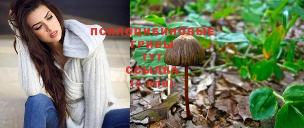 дживик Богородицк