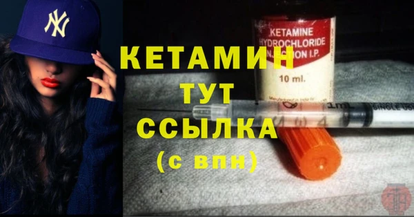 дживик Богородицк